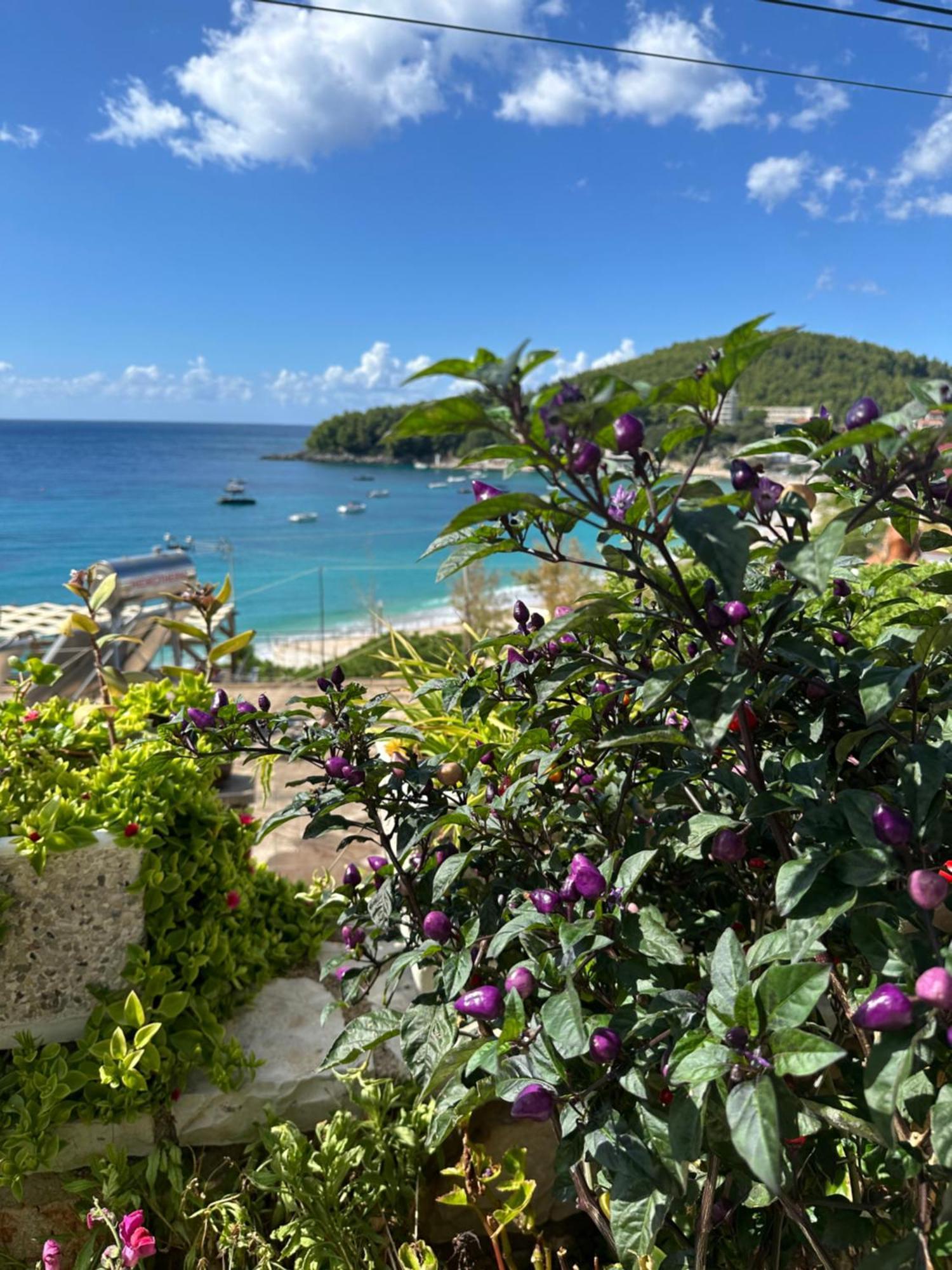 Fane'S Apartments Himare Buitenkant foto