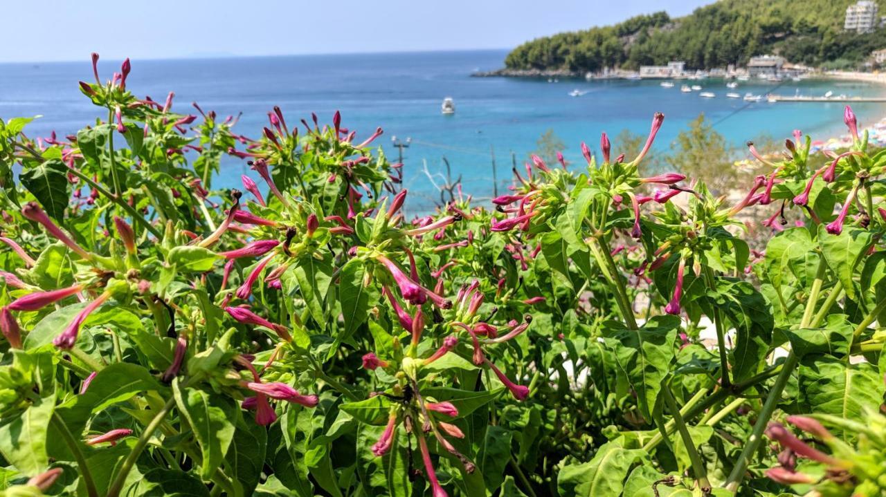 Fane'S Apartments Himare Buitenkant foto